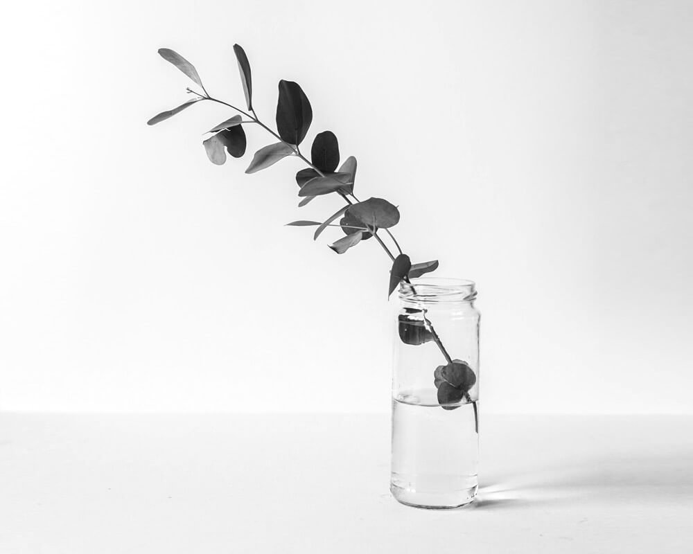 Donec libero purus pulvinar