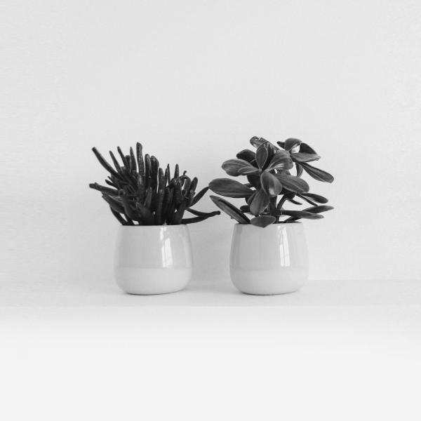 Lorem ipsum dolor sit